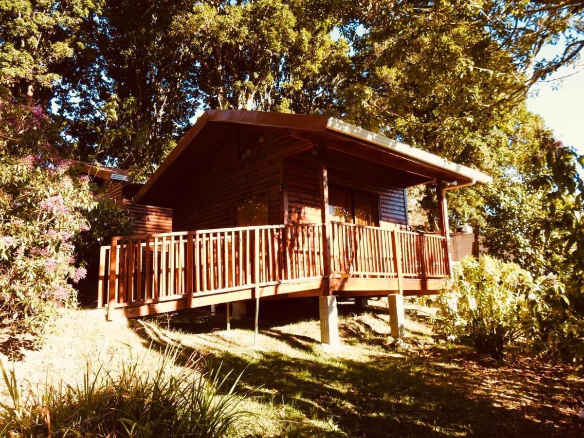 Cabanas San Gerardo ซาน เจราร์โด  เด โดตา ภายนอก รูปภาพ